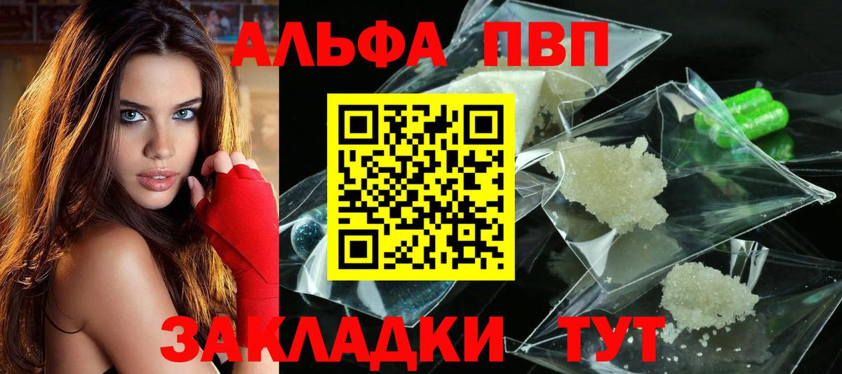 Альфа ПВП СК КРИС Воркута
