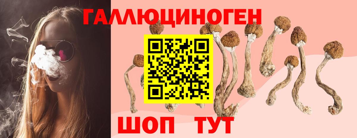Галлюциногенные грибы GOLDEN TEACHER Воркута
